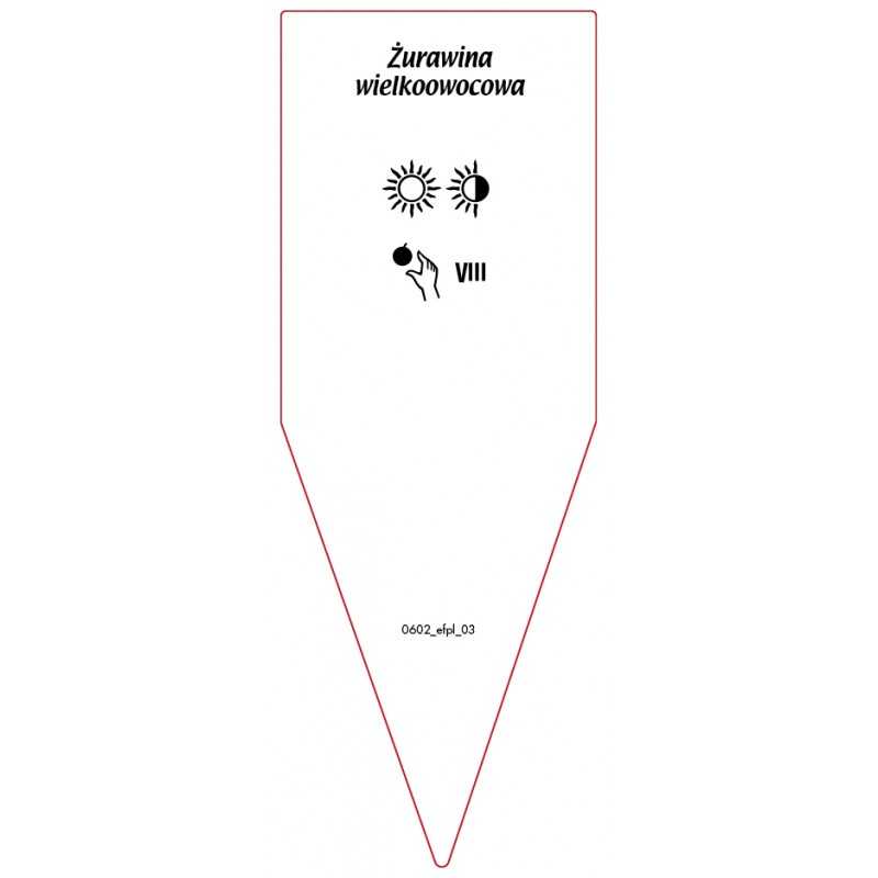 vaccinium-macrocarpon-zurawina-wielkoowocowa-i0