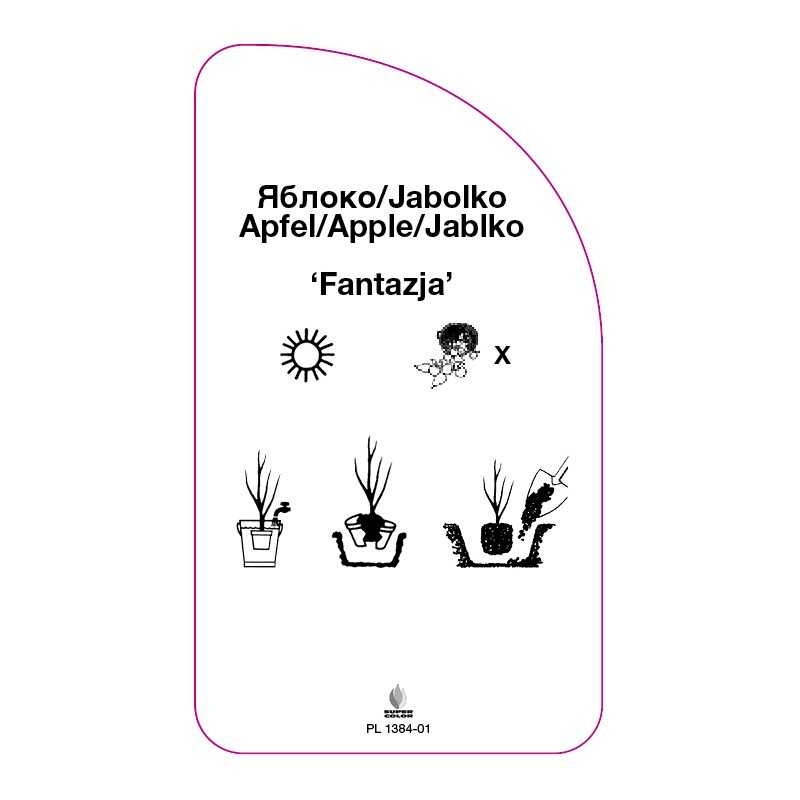 jablon-fantazja-0