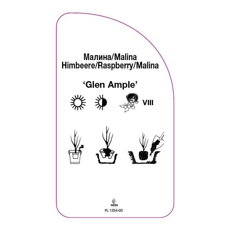 malina-glen-ample-0