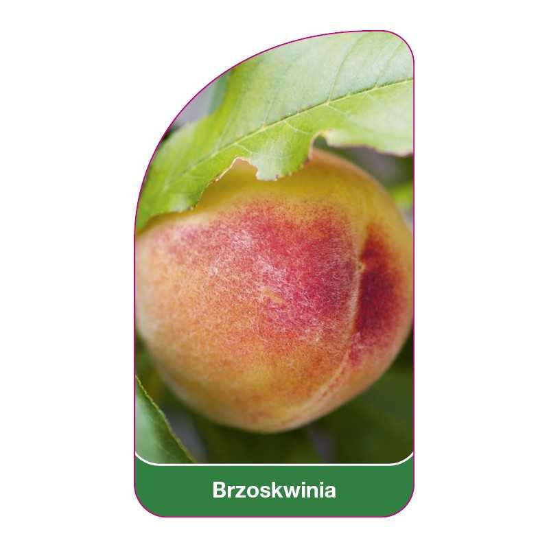 brzoskwinia1