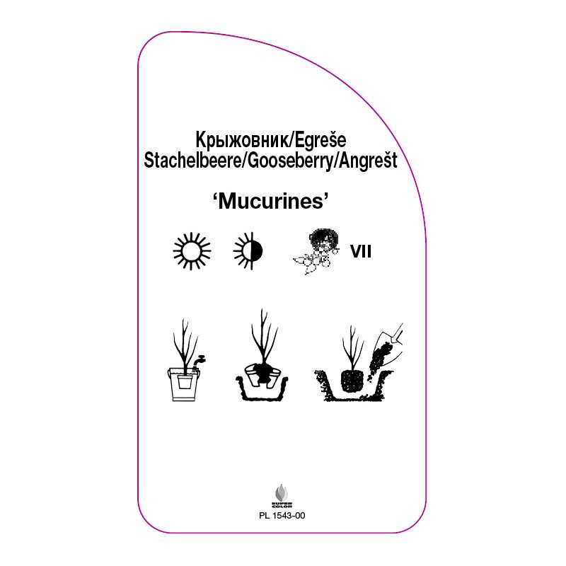 agrest-mucurines-0