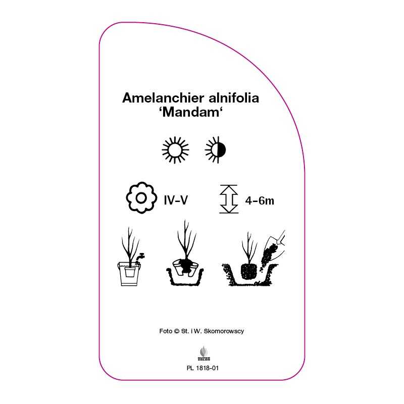 swidosliwa-olcholistna-mandam-0