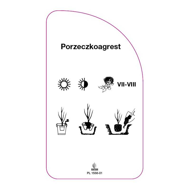 porzeczkoagrest0