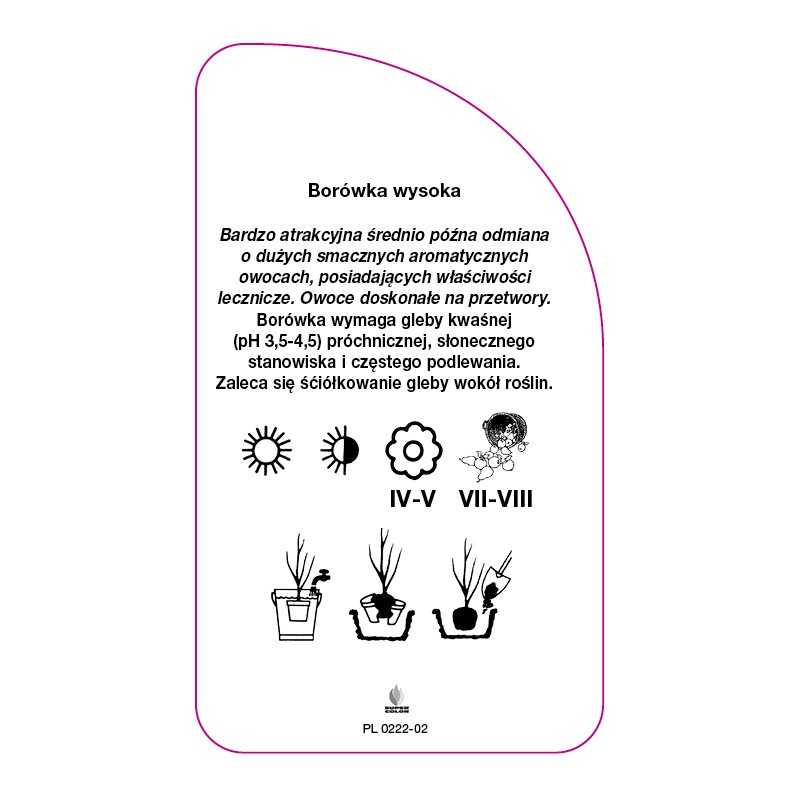 borowka-bonus-standard0