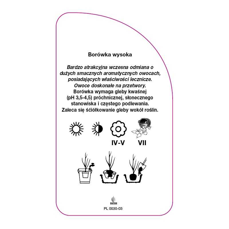 borowka-blueray-standard0