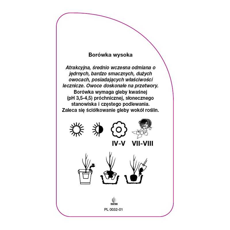 borowka-bonifacy-standard0