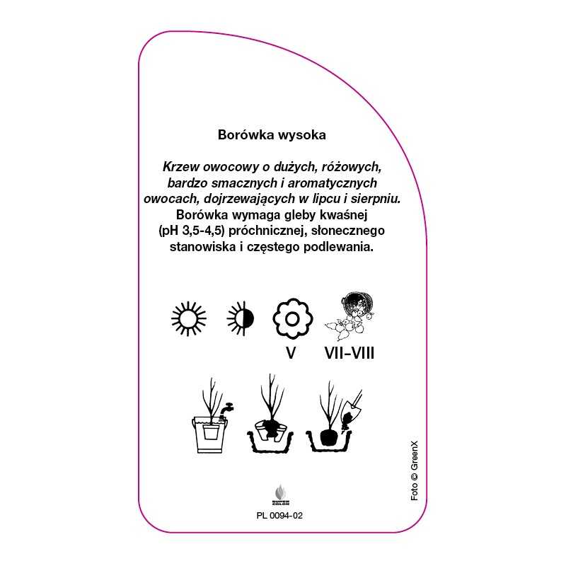 borowka-grover-standard0