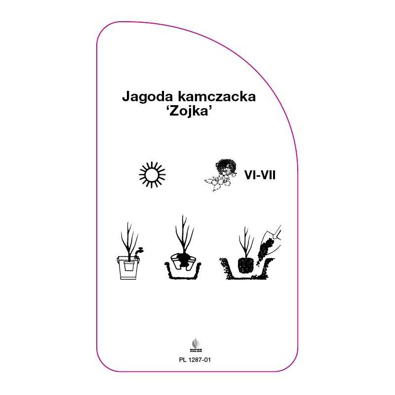 jagoda-kamczacka-zojka-0