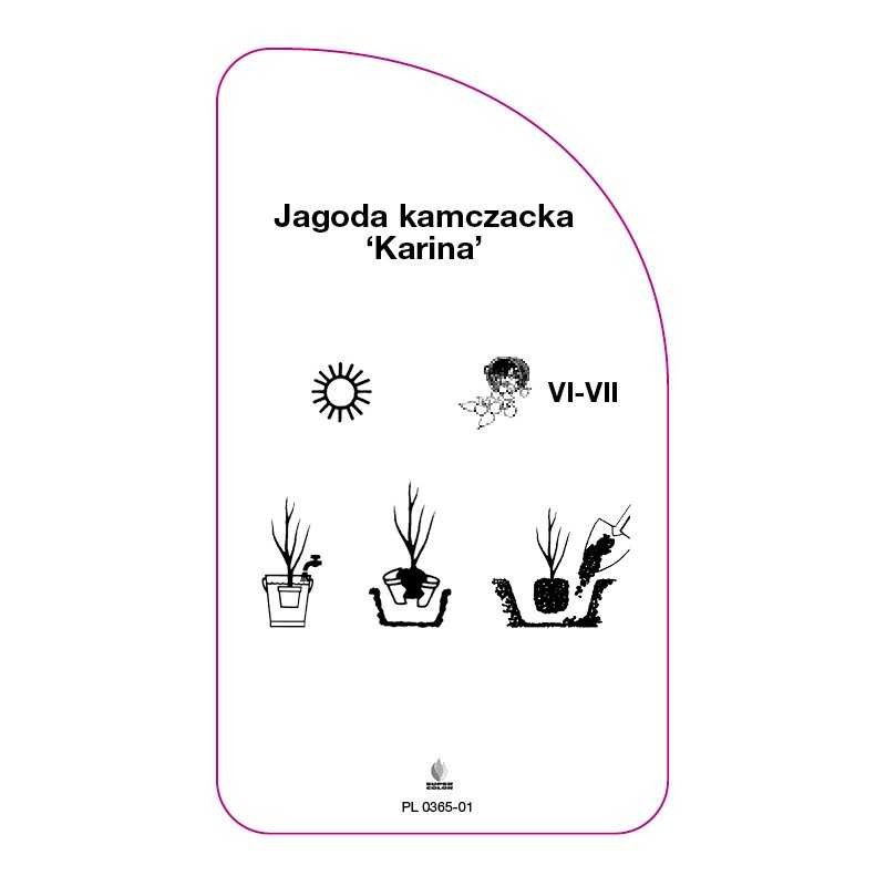 jagoda-kamczacka-karina-0