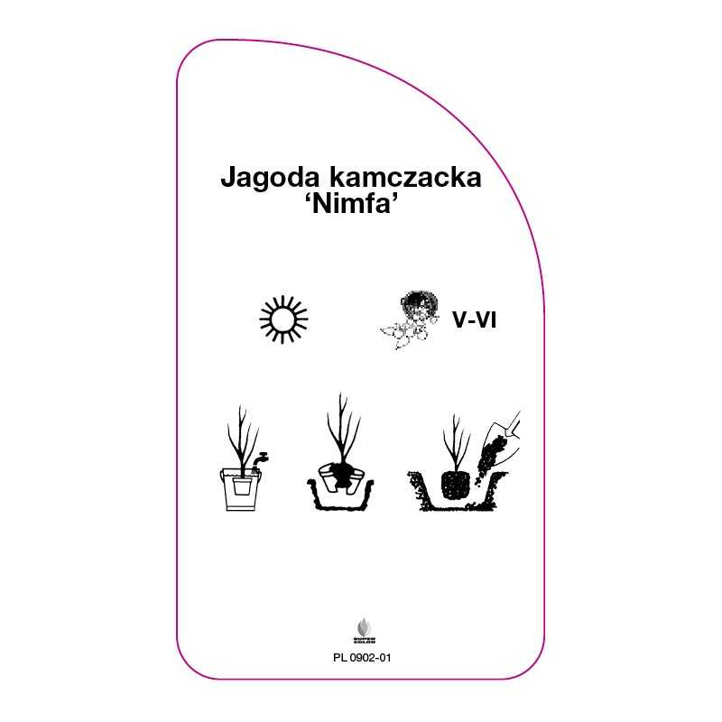 jagoda-kamczacka-nimfa-0