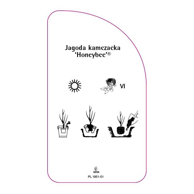 jagoda-kamczacka-honeybee-0