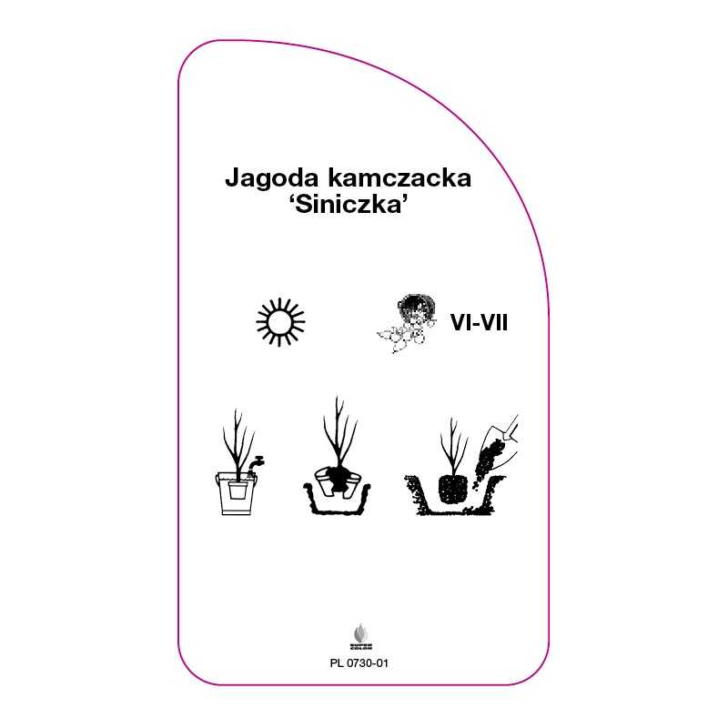 jagoda-kamczacka-siniczka-0