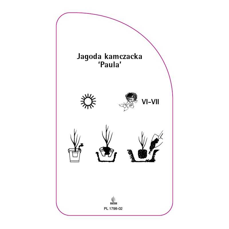 jagoda-kamczacka-paula-0