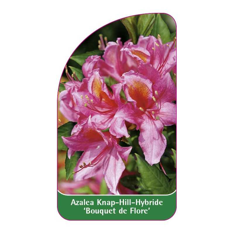 azalea-bouquet-de-flore-1