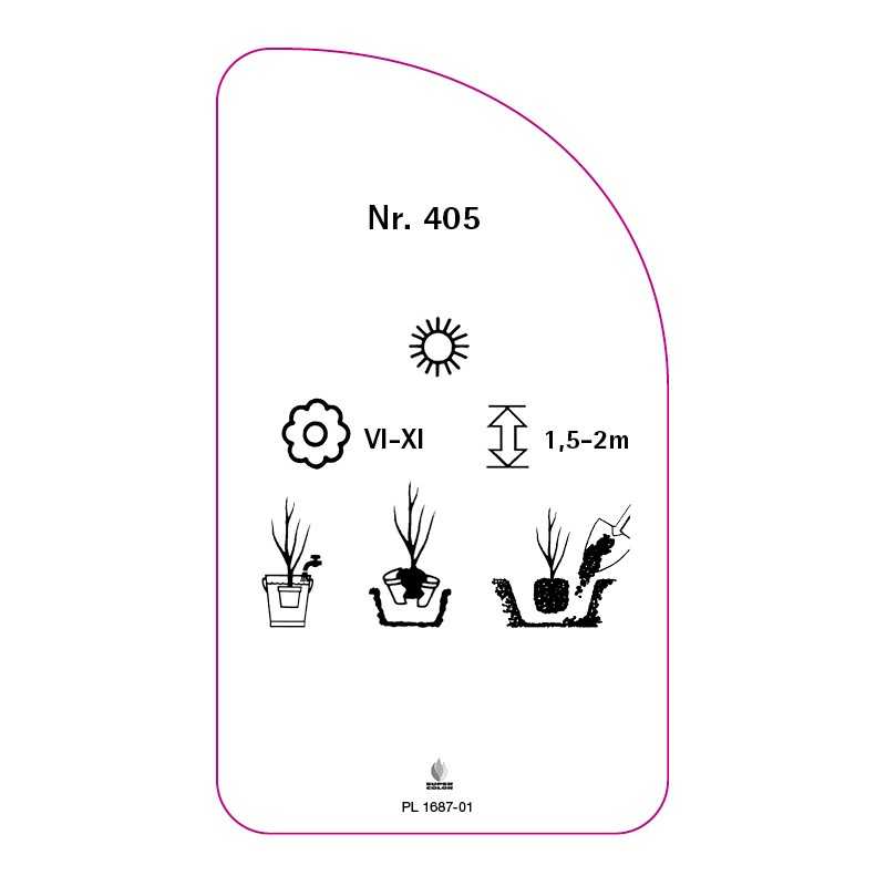 roza-parkowa-405-standard0