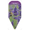 lavandula-angustifolia-dwarf-blue-1