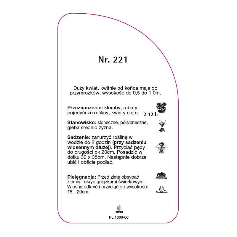 roza-wielkokwiatowa-221-a-standard0