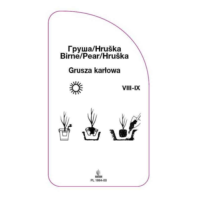 grusza-karlowa-czerwona0