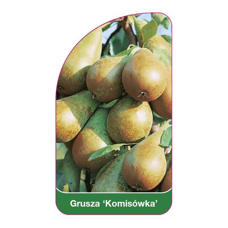 grusza-komisowka-1