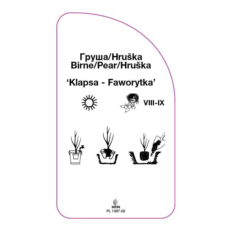 grusza-klapsa-faworytka-b0