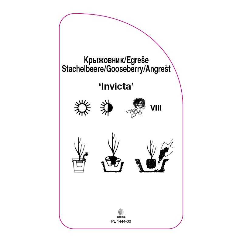 agrest-invicta-0