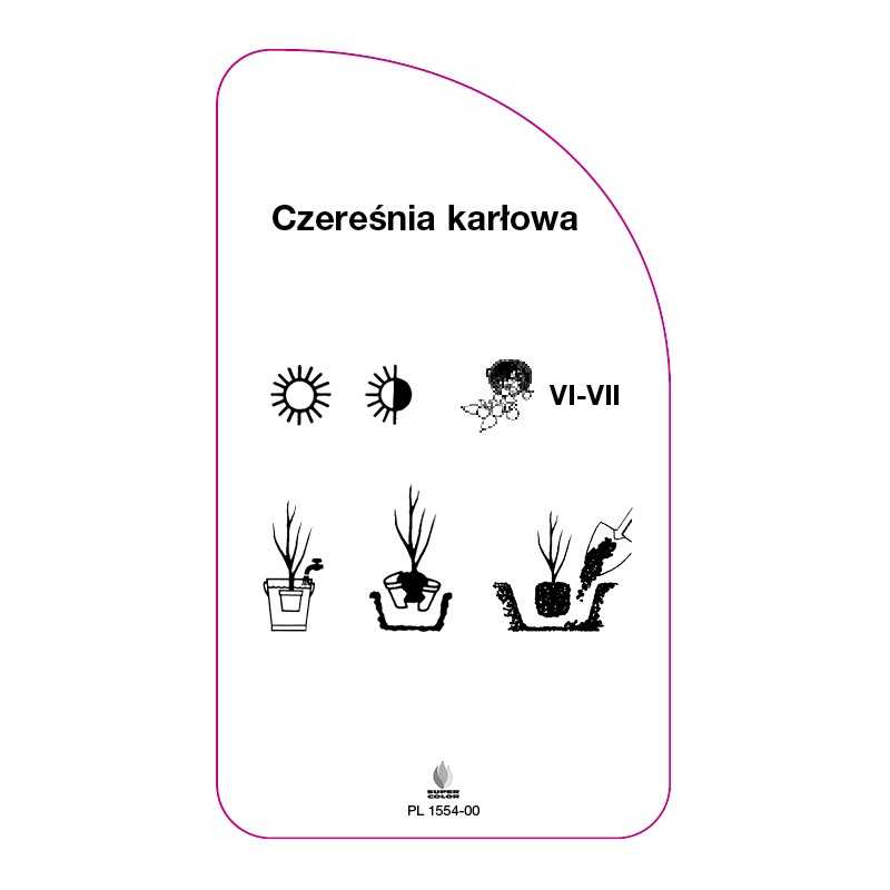 czeresnia-karlowa0