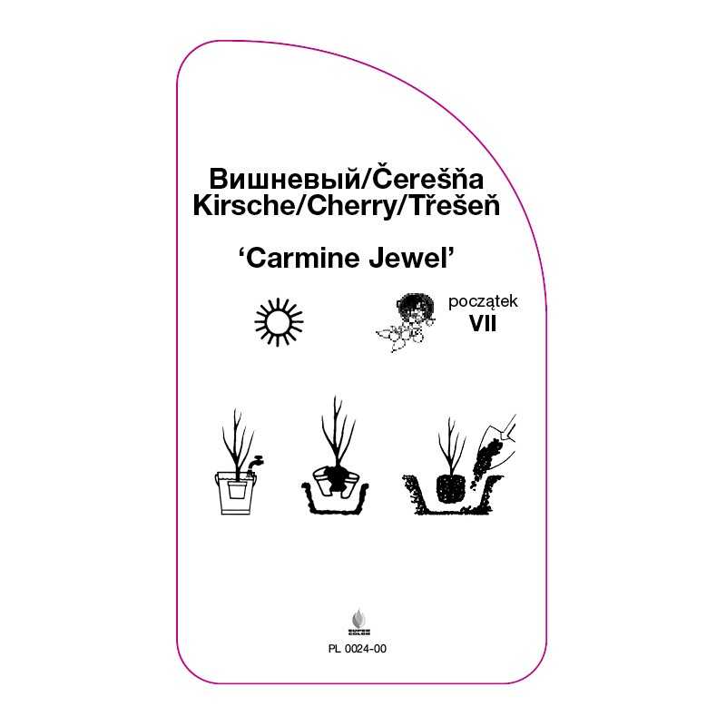 czeresnia-carmine-jewel-0