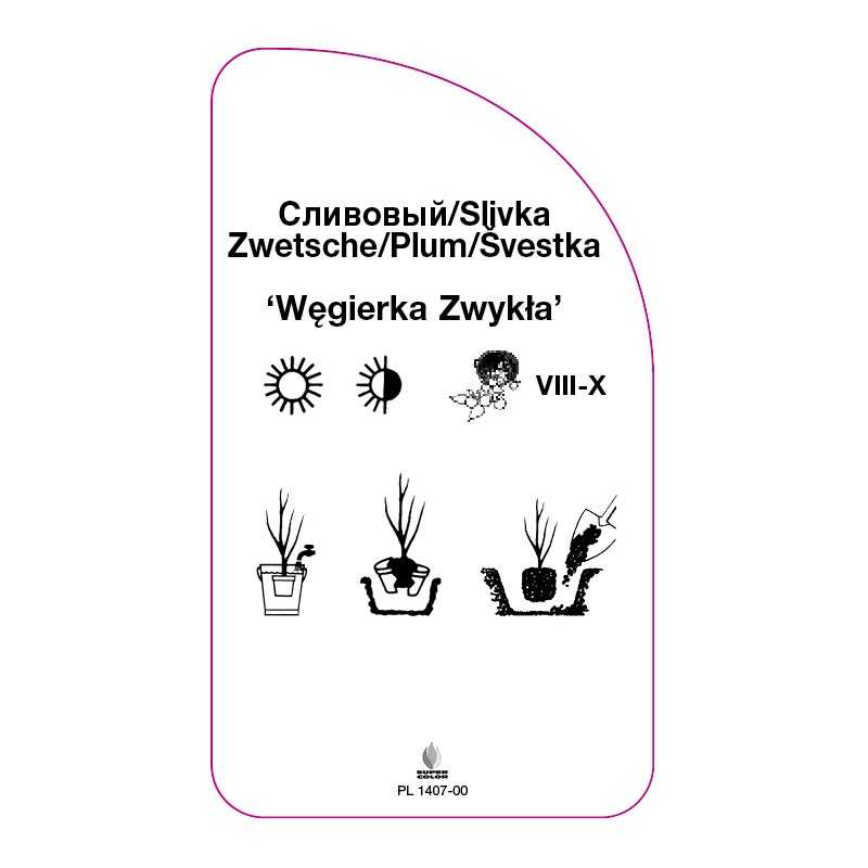 sliwa-wegierka-zwykla-0