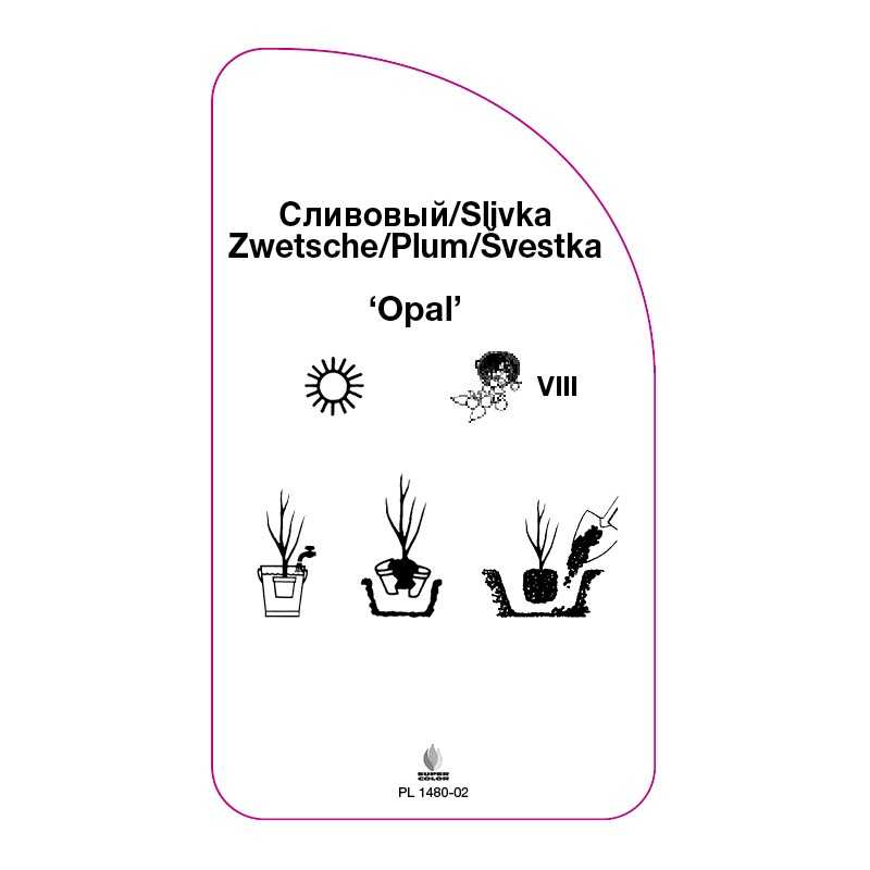 sliwa-opal-a0