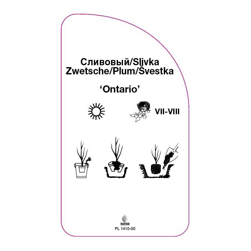 sliwa-ontario-a0