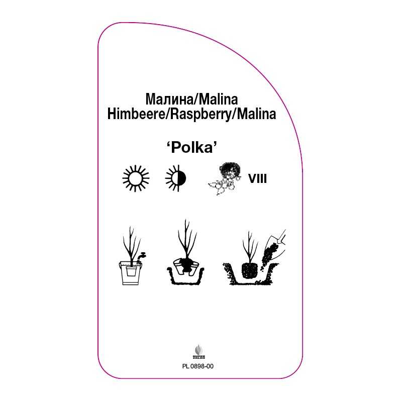 malina-polka-0