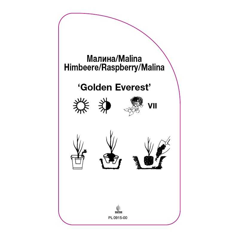 malina-golden-everest-0