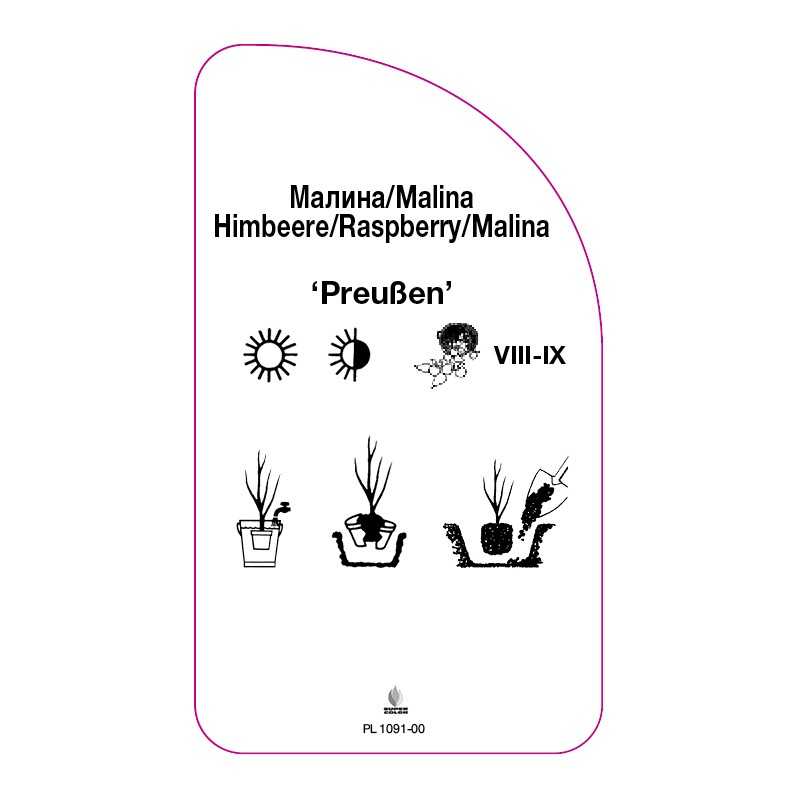 malina-preussen-0