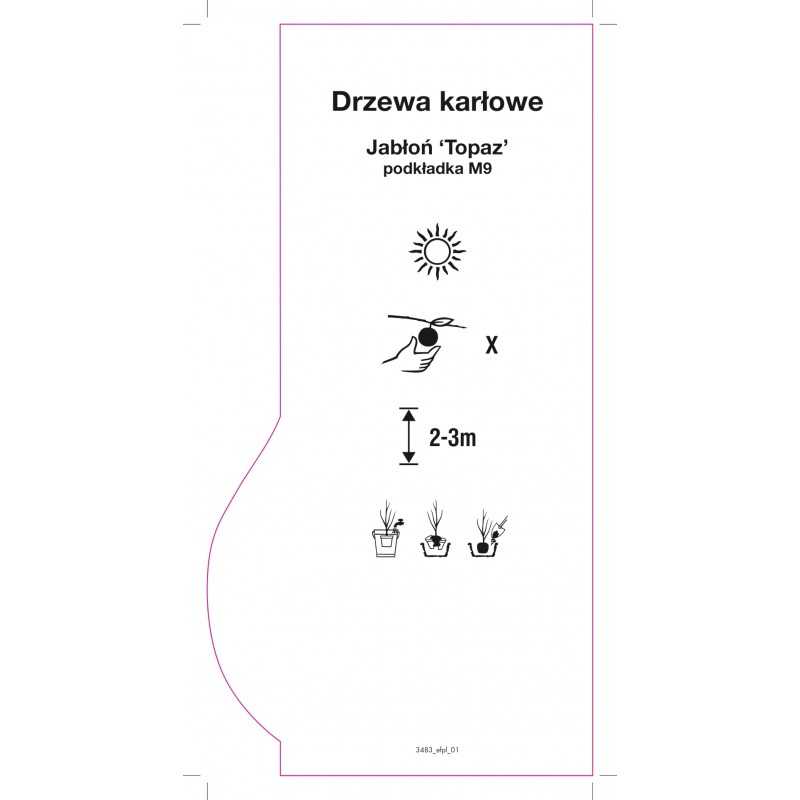 jablon-karlowa-topaz-jumbo0