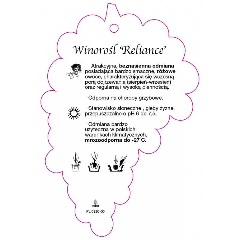 winorosl-reliance-jumbo0