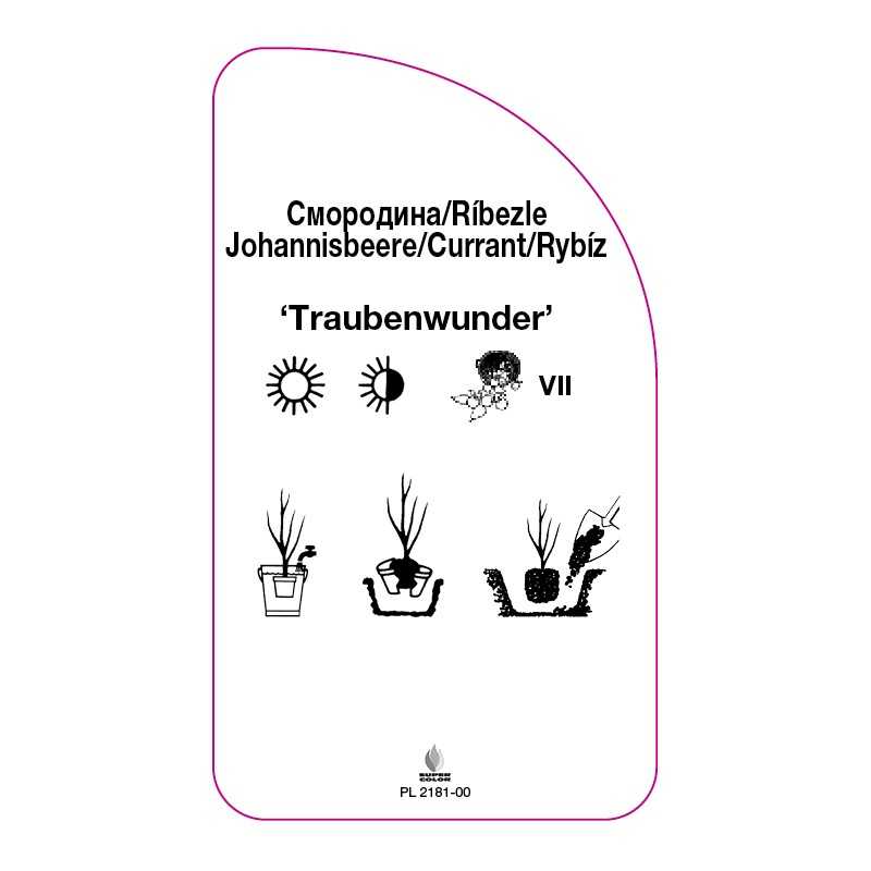 porzeczka-traunbenwunder-0