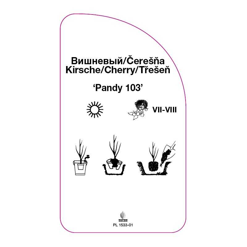 wisnia-pandy-103-0