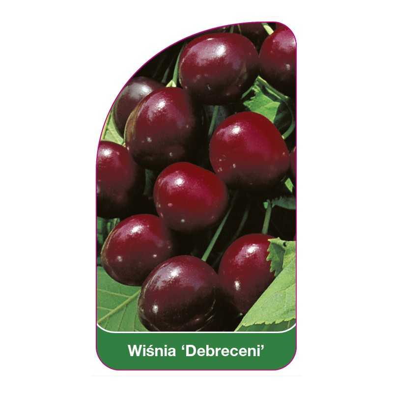 wisnia-debreceni-1