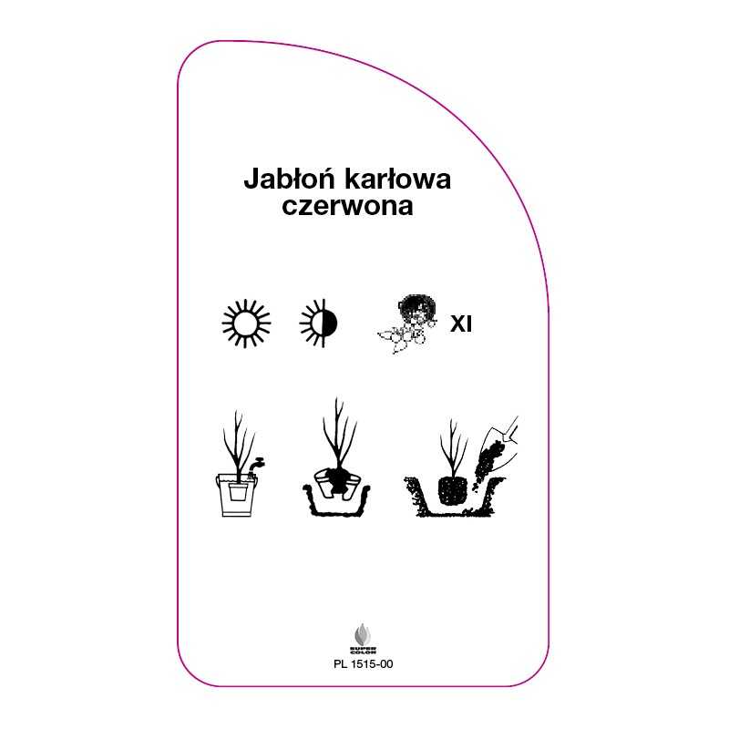 jablon-karlowa-czerwona0