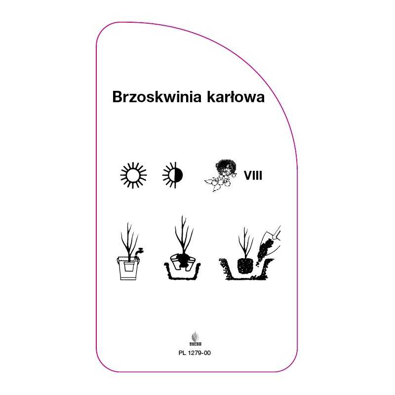 brzoskwinia-karlowa-bordowe-liscie0