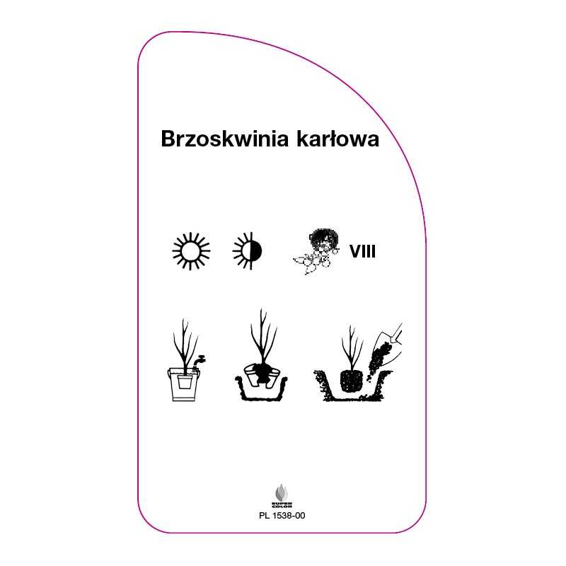 brzoskwinia-karlowa0