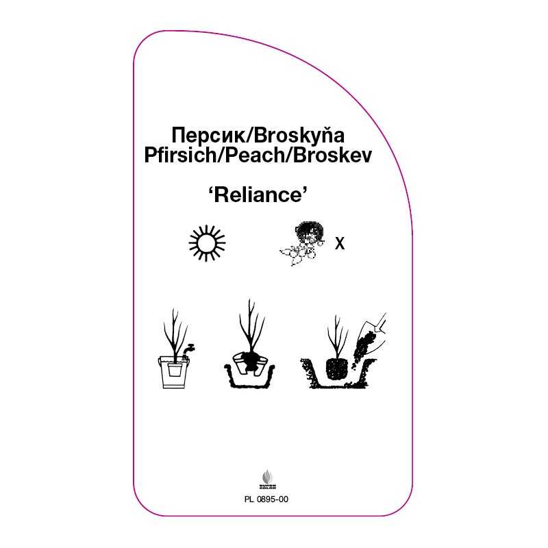 brzoskwinia-reliance-0