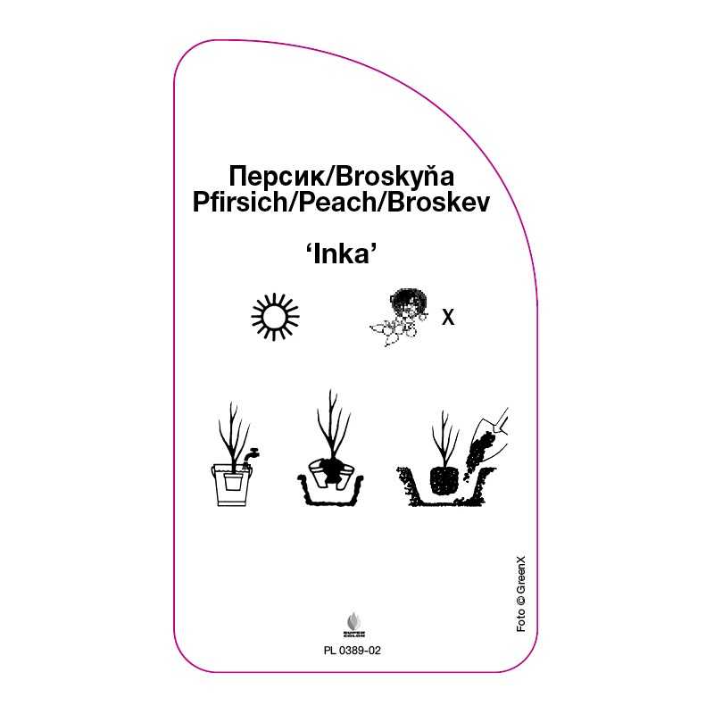 brzoskwinia-inka-0