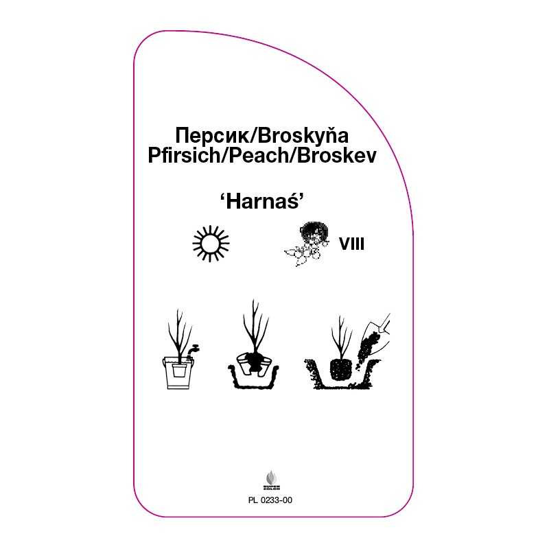 brzoskwinia-harnas-0