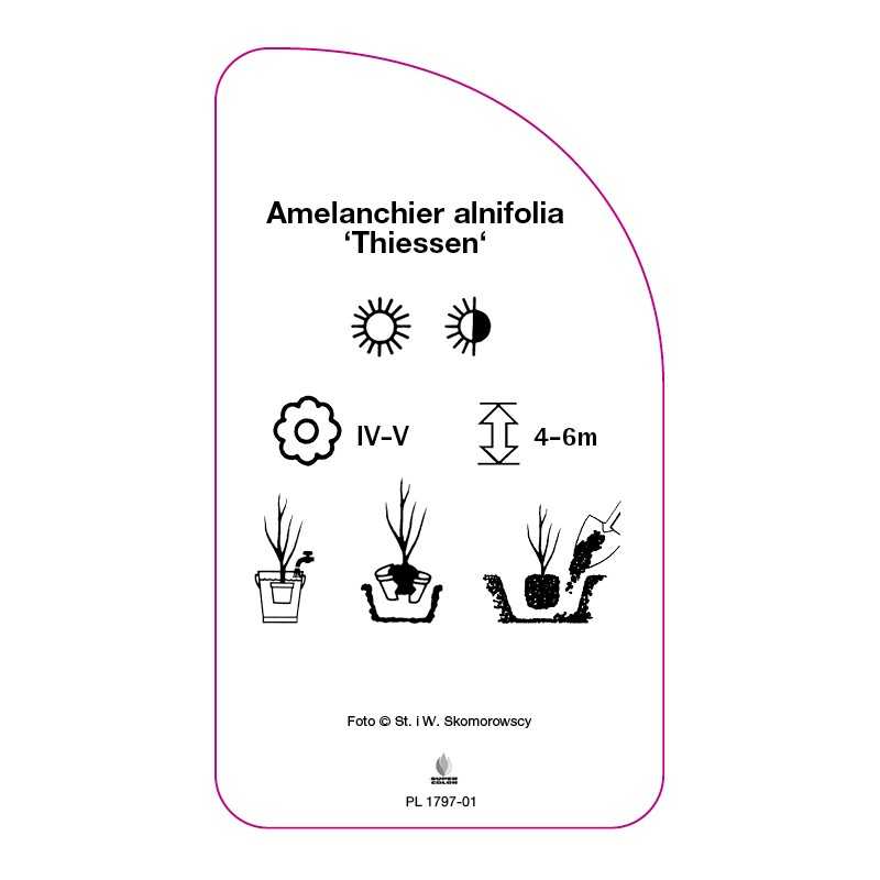 swidosliwa-olcholistna-thiessen-0