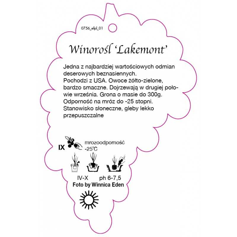 winorosl-lakemont-0