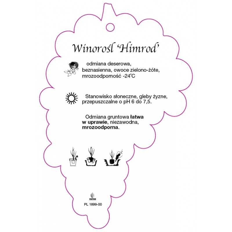 winorosl-himrod-jumbo0