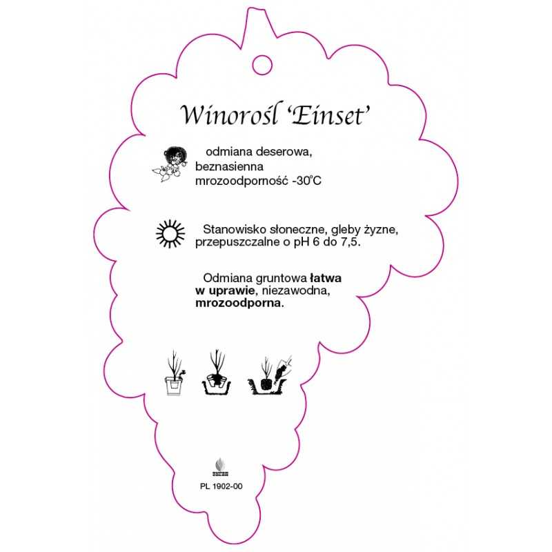 winorosl-einset-jumbo0