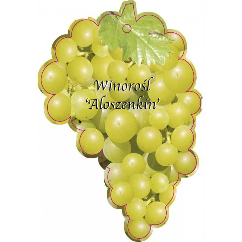 winorosl-aloszenkin-jumbo1