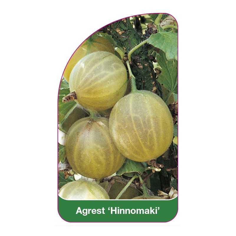 agrest-hinnomaki1